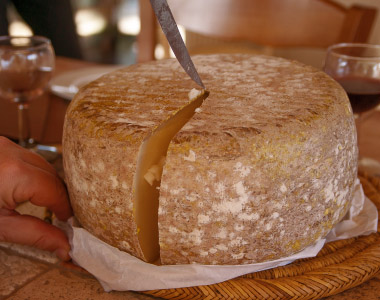 Biokäse-Basics Biokäse-Basics