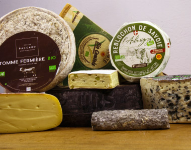 Biokäse-Sorten Biokäse-Sorten