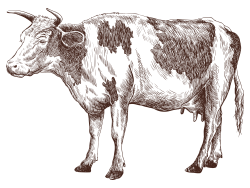 Bio-Käse ist unsere Leidenschaft Bio-Käse ist unsere Leidenschaft