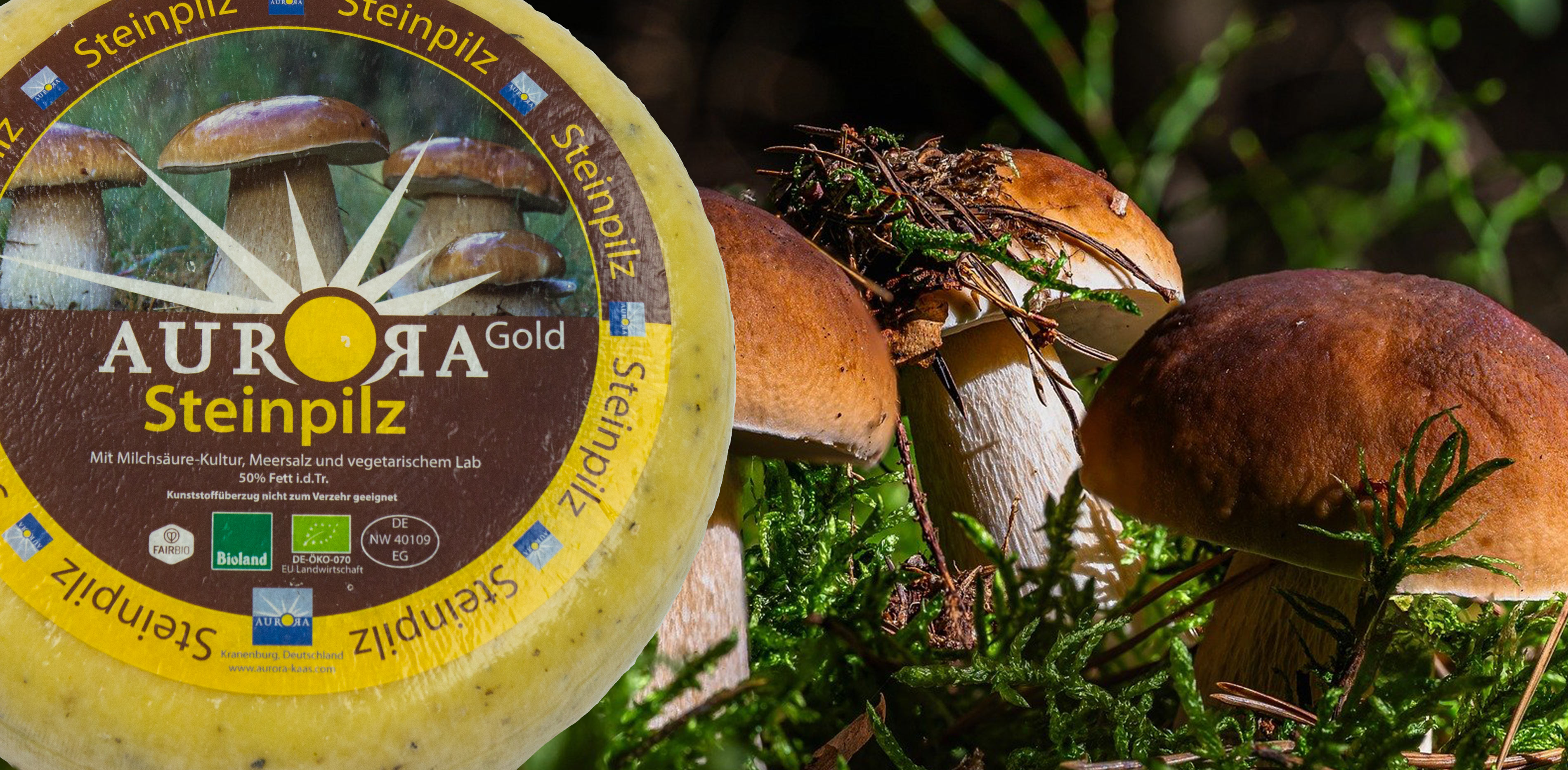 Unser Käse des Monats: Unser Käse des Monats: