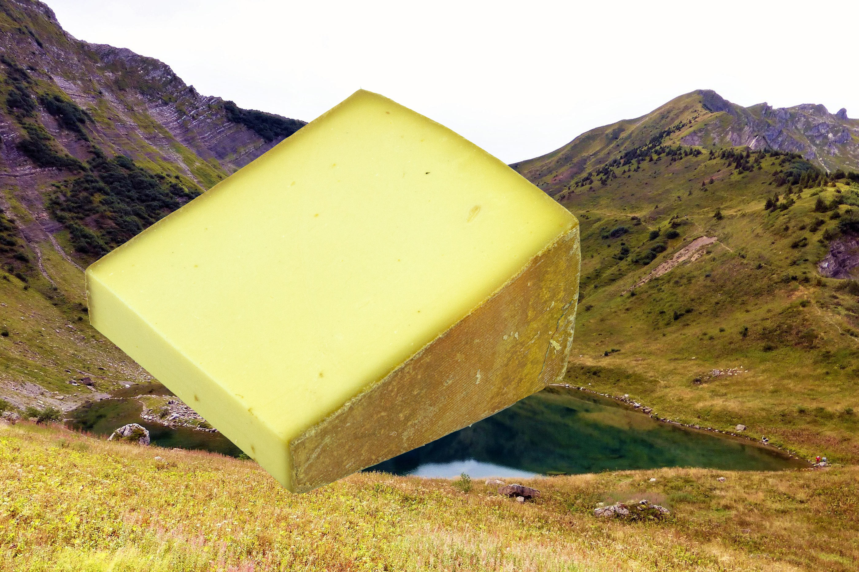 Unser Käse des Monats: