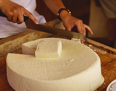 Dein Biokäse - was steckt dahinter? Dein Biokäse - was steckt dahinter?